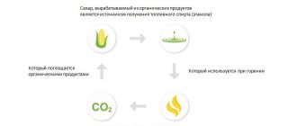 Produk mesra alam, biofuel.