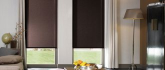 Mga brown roller blind sa bintana ng sala