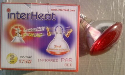 InterHeat lampe