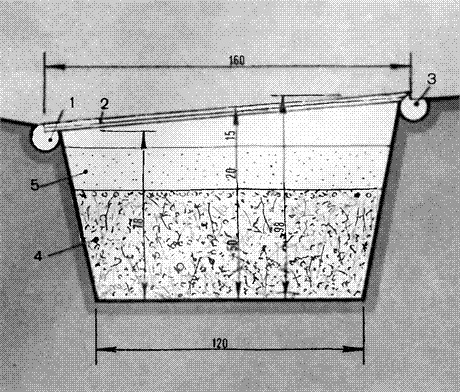 Mini mini greenhouse. 700 mga larawan, sunud-sunod na mga tagubilin