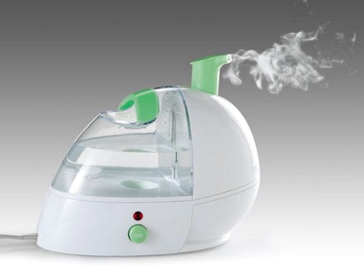 Steam humidifier