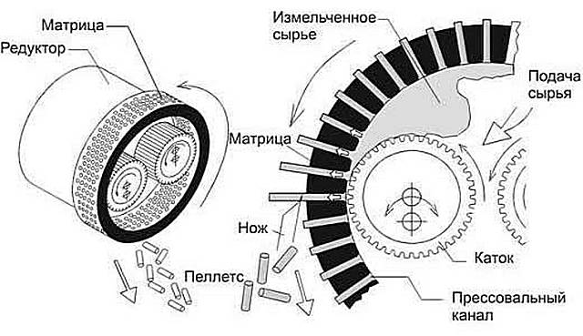 Et omtrentligt diagram over pellets, der presser gennem en cylindrisk matrix