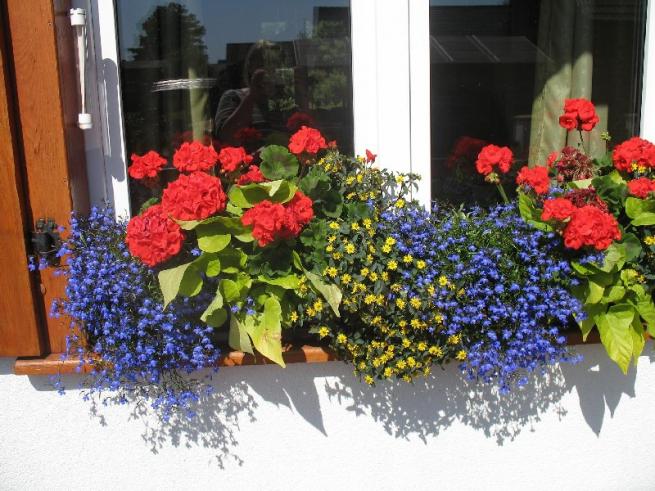 Panlabas na dekorasyon ng bulaklak ng mga plastik na bintana, dekorasyon ng window sill