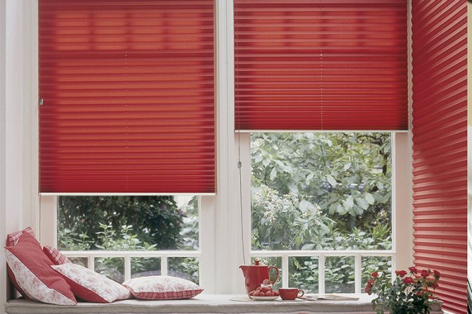 Pleated blinds